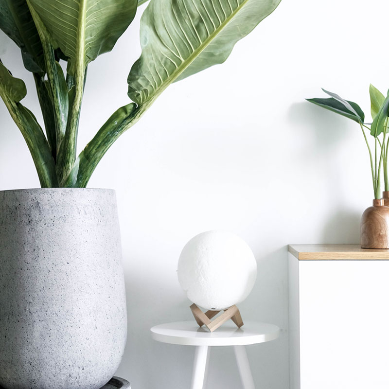 Understanding the Waterfall Model: Key Examples, Benefits, Drawbacks, and Best Use Cases